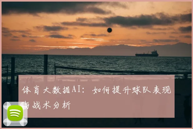 体育大数据AI：如何提升球队表现与战术分析
